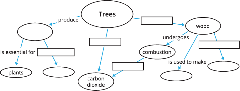 A partially filled in concept map about trees