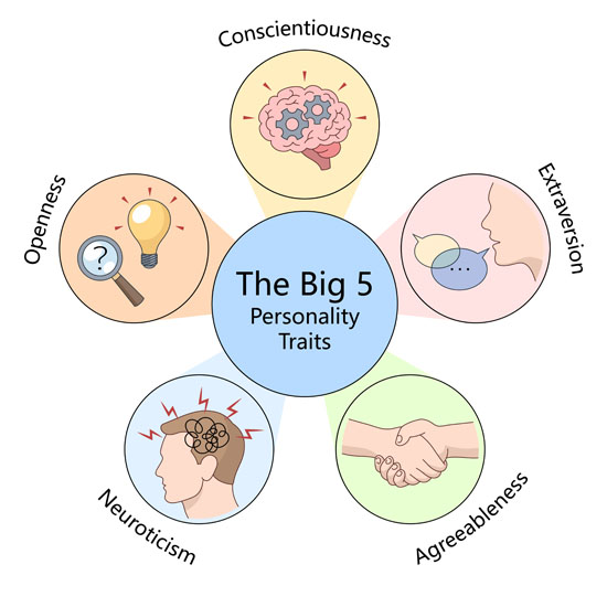 A graphic listing the Big Five personality traits: conscientiousness, extraversion, agreeableness, neuroticism, and openness