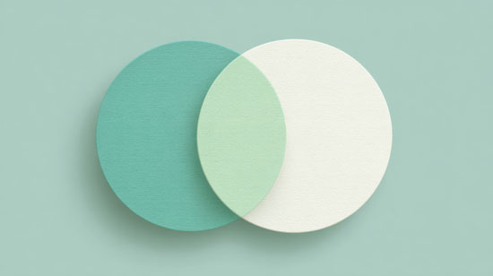 Two overlapping circles