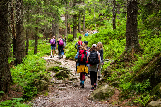 Hikers walking up a trail in the woods