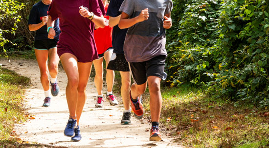 A picture of a group of runners on a dirt trail