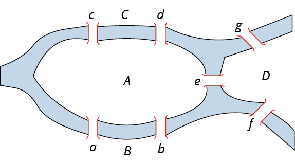 A diagram of the Konigsberg Bridges